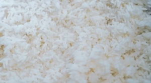 Indústria negocia compra de arroz da Tailândia para compensar perdas previstas no RS